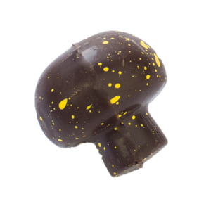 Paddestoel Limmen