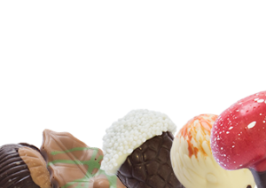 Herfstassortiment