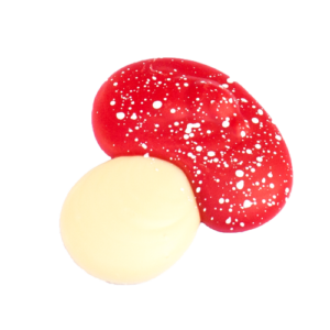 Paddestoel wit