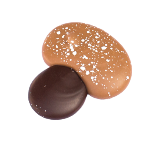 Paddestoel bruin